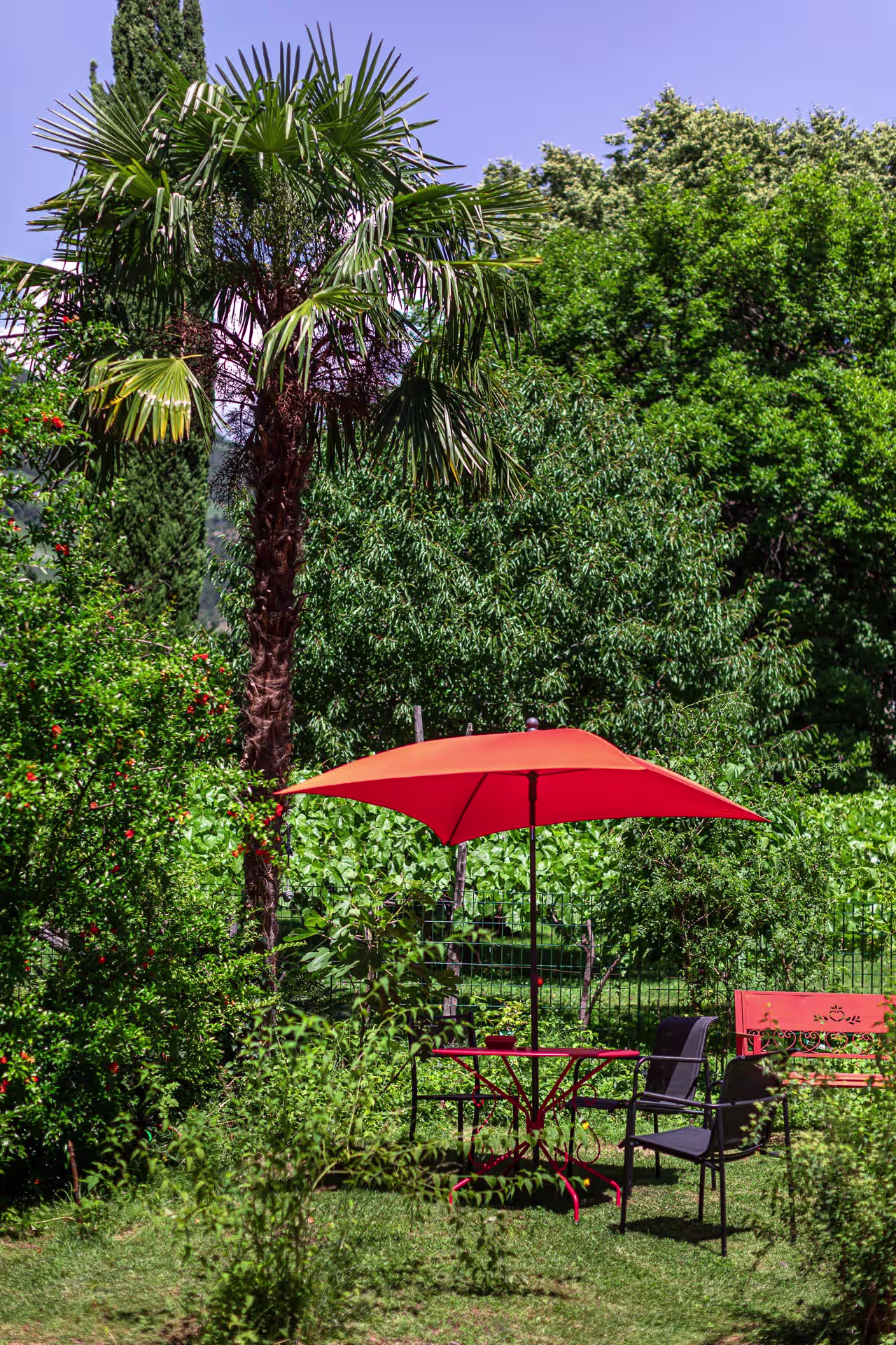 Il giardino di Villa Anita